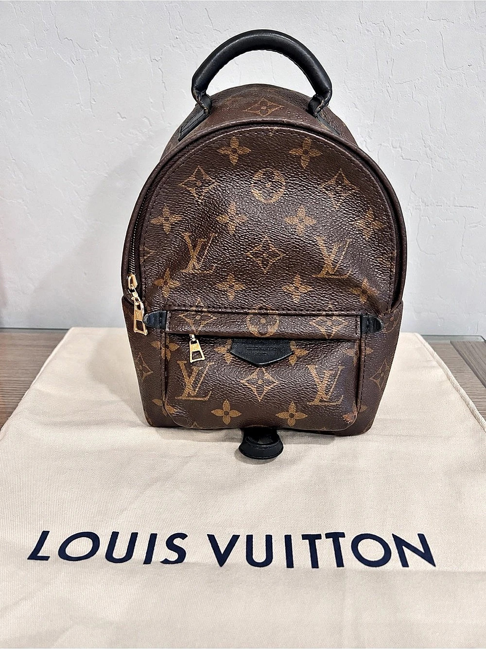 Louis Vuitton Mini Palm Springs Backpack Monogram Backpack